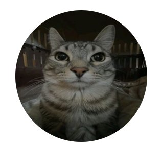 ka1zen's avatar